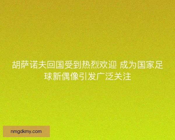 胡萨诺夫回国受到热烈欢迎 成为国家足球新偶像引发广泛关注